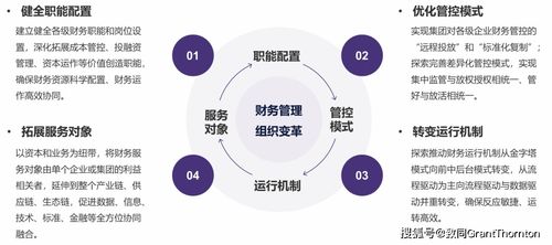 圖解《關(guān)于中央企業(yè)加快建設(shè)世界一流財(cái)務(wù)管理體系的指導(dǎo)意見(jiàn)》及企業(yè)管理服務(wù)支持